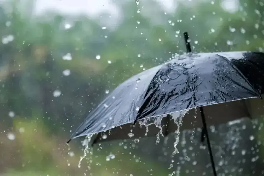 Maroc Météo : fortes pluies et rafales de vent, vendredi et samedi, dans plusieurs provinces